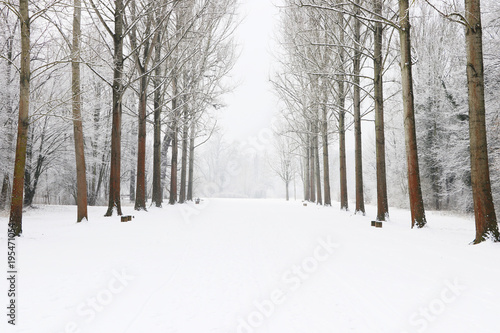 winter park alley with snow © Juliane Franke
