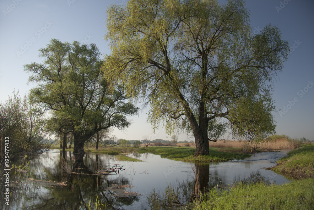 Fototapeta premium Spring flood