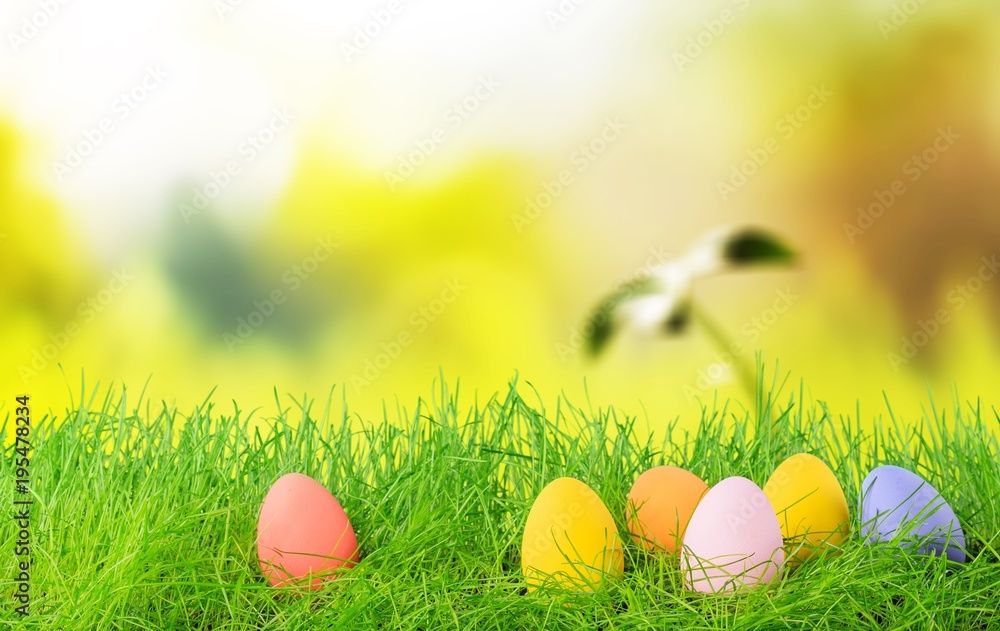 Fototapeta premium Easter.