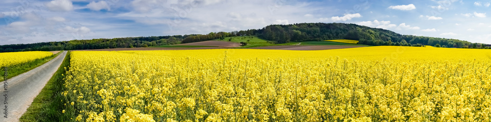 Fototapeta premium Berglandschaft mit Rapsfeldern, Banner