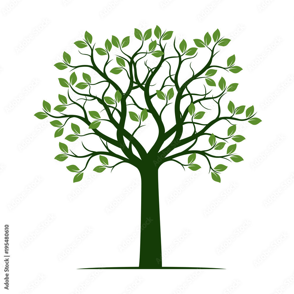 Green Spring Tree with Leaves. Vector Illustration. Green Spring Tree with Leaves. Vector Illustration.