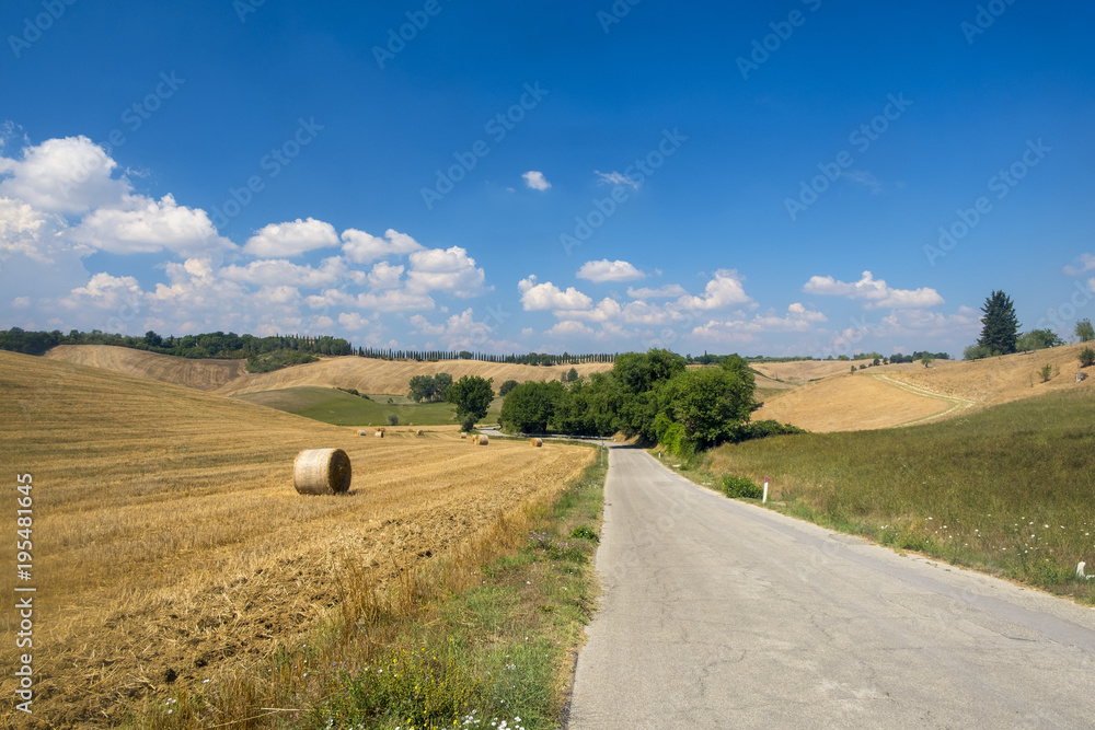 Summer landscape in the Chianti region (Tuscany)