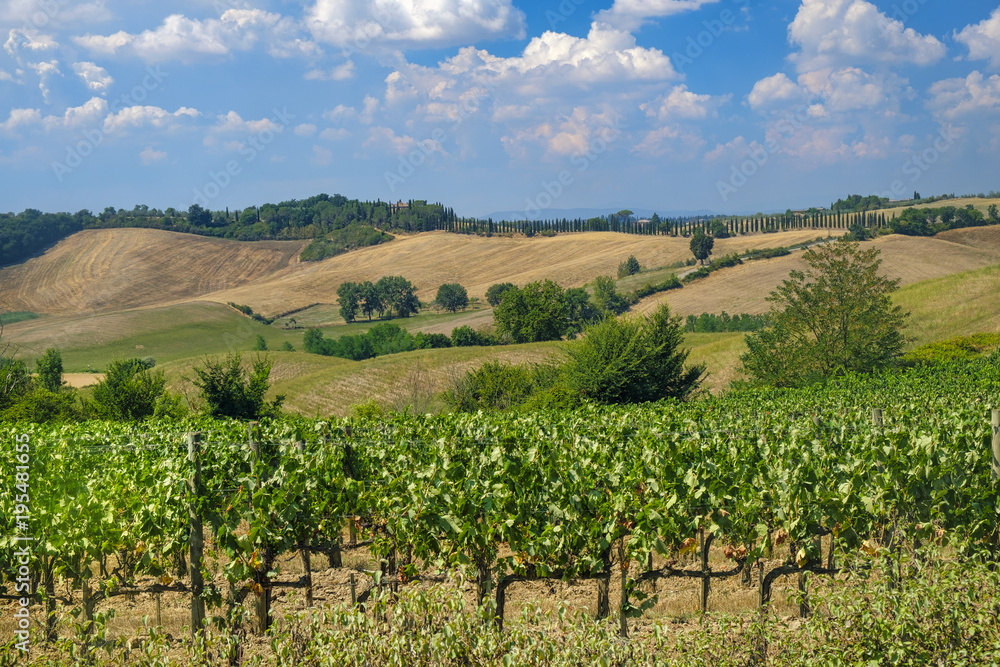 Summer landscape in the Chianti region (Tuscany) Summer landscape in the Chianti region (Tuscany)