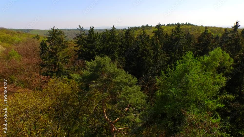 Beautiful green forest at spring from above. Beautiful green forest at spring from above.