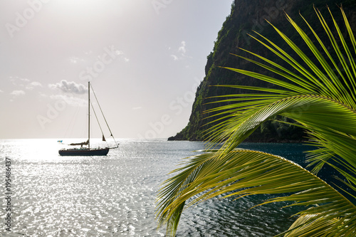 Yacht moored close to the base of Petit Piton, near Sugar Beach with palm leaves in the foreground, St. Lucia, Windward Islands Caribbean photo