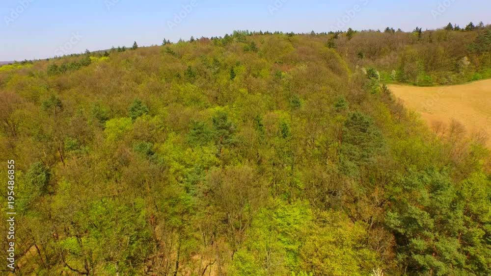 Spring forest in the middle of Europe from above Spring forest in the middle of Europe from above