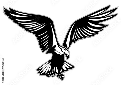 Bird of prey in flight vector illustration