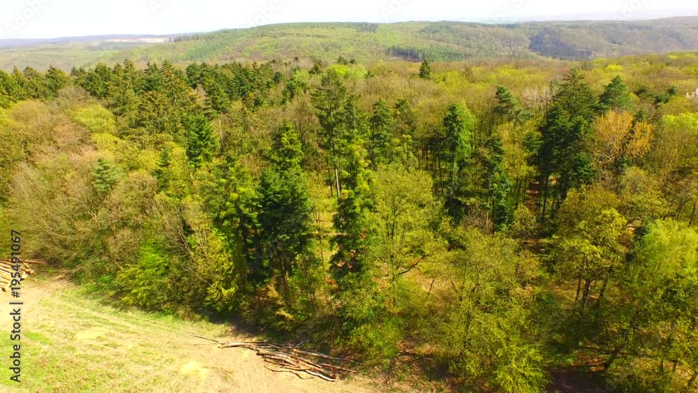 Spring forest in the middle of Europe from above Spring forest in the middle of Europe from above