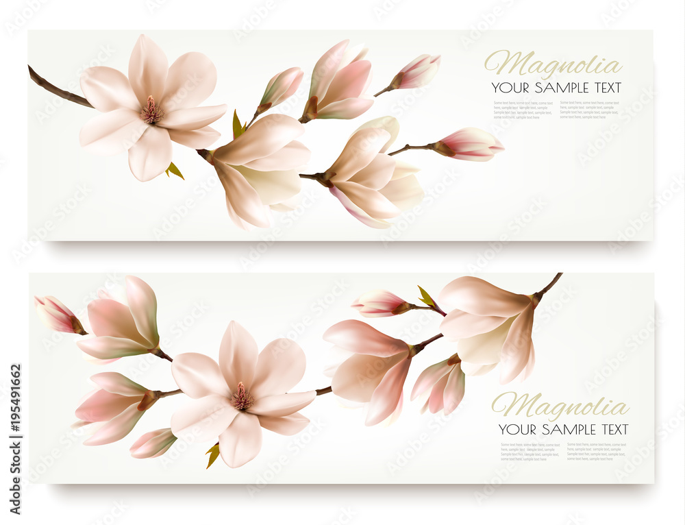 Naklejka premium Nature spring banners with beautiful magnolia branches. Vector.