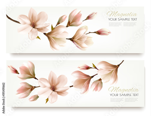 Nature spring banners with beautiful magnolia branches. Vector.