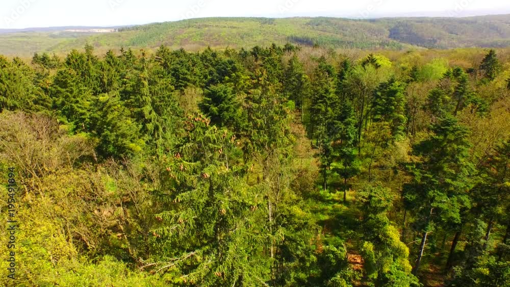 Spring forest in the middle of Europe from above