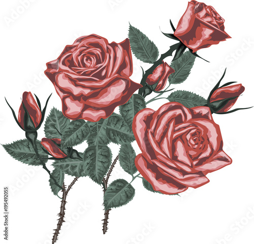 Bouquet of red roses - high quality vector art