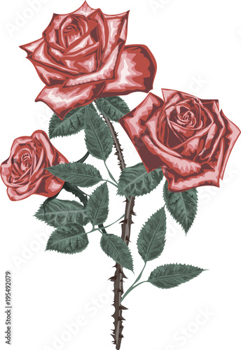 Bouquet of red roses - high quality vector art