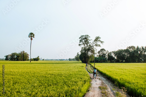 Rural dirt road tropical green rice field and bicycle tour in Koh Tepo, Uthaithani, Thailand photo