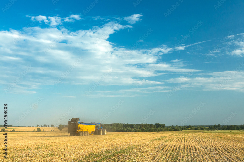 the tractor fertilizes the field with manure. A large trailer. Sowing. Agroindustry.Pole before sowing. Against the sky. yellow tractor. the tractor fertilizes the field with manure. A large trailer. Sowing. Agroindustry.Pole before sowing. Against the sky. yellow tractor.
