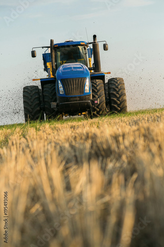 the tractor fertilizes the field with manure. A large trailer. Sowing. Agroindustry.Pole before sowing. Against the sky. yellow tractor.