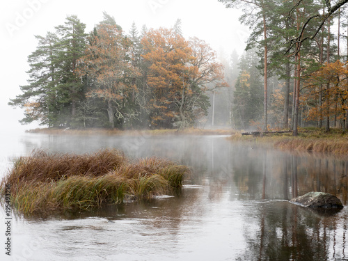 Misty autumn moning by lakeside