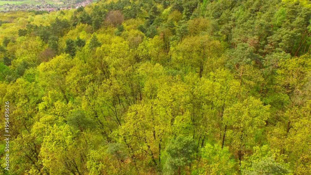 Spring forest in the middle of Europe from above Spring forest in the middle of Europe from above