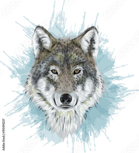 Realistic Vector Wolf - Stylized art