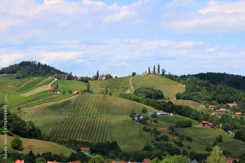 Rural landscape in Styria, Austria, vineyards and hills in summer, wine route in Styria, dispersed settlement, rural scene