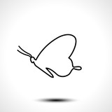 Butterfly line icon isolated on white background. Vector illustration