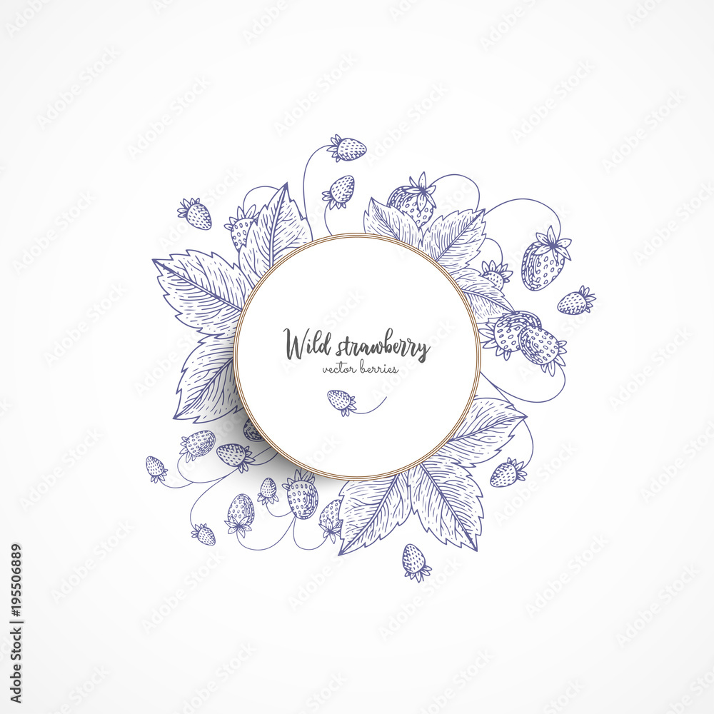 Vector round banner with wild strawberry. Vintage banner with hand drawn berries. With place for text. Great for label, packaging design, menu, cafe, restaurant, recipes, decoration kitchen items.