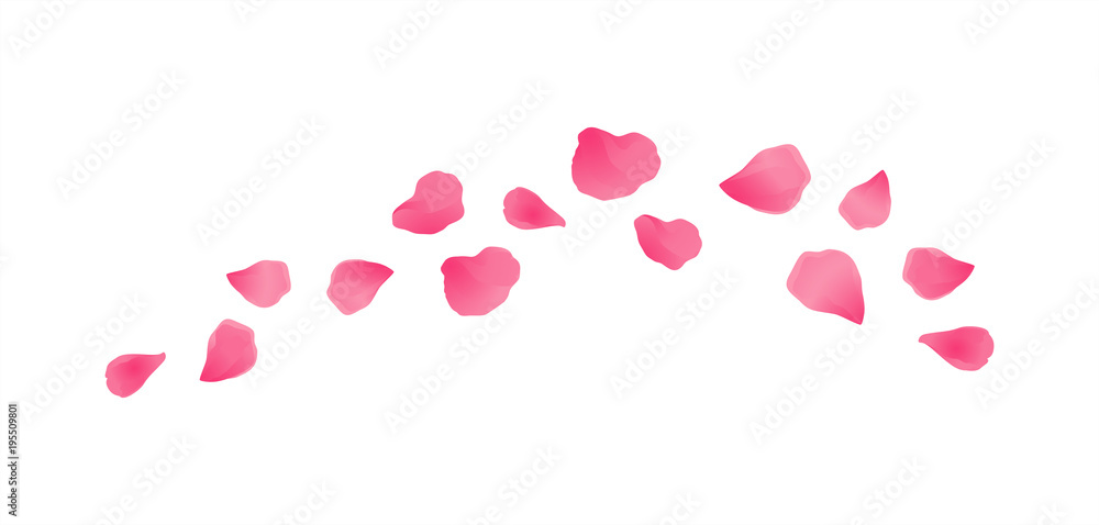 Pink flying petals isolated on White background. Sakura Roses petals. Vector