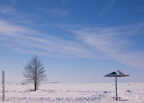 Scenic winter view of sun umbrella and lonely tree on deserted beach covered by snow. Blue sky with cirrus clouds and frozen sea background. © Taras Shchetinin