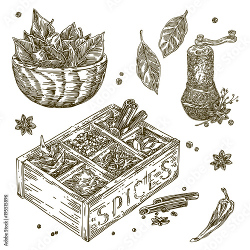 Vintage set of spices. Mill, box and dish. Sketch. Engraving style. Vector illustration.