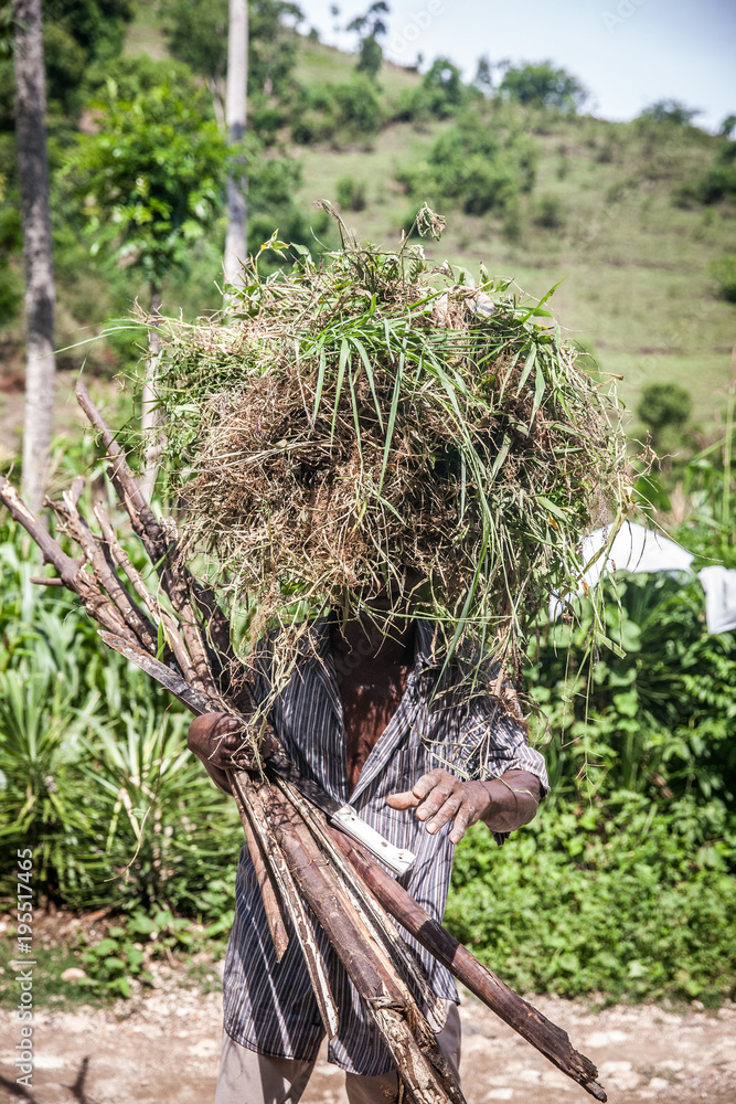 Fototapeta premium Man in Haiti Carrying Supplies on His head