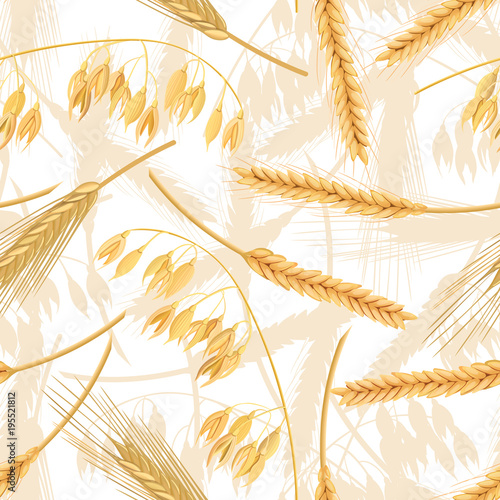 Wheat, barley, oat and rye seamless pattern. Four cereals spikelets with ears. isolated. 3d icon vector. For design, cooking,