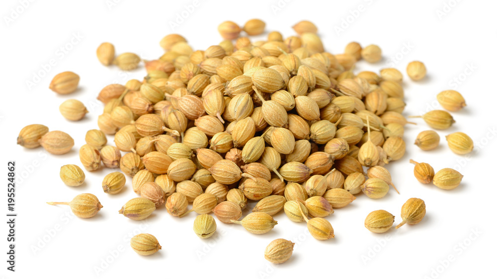 closeup of dried coriander seeds isolated on white closeup of dried coriander seeds isolated on white