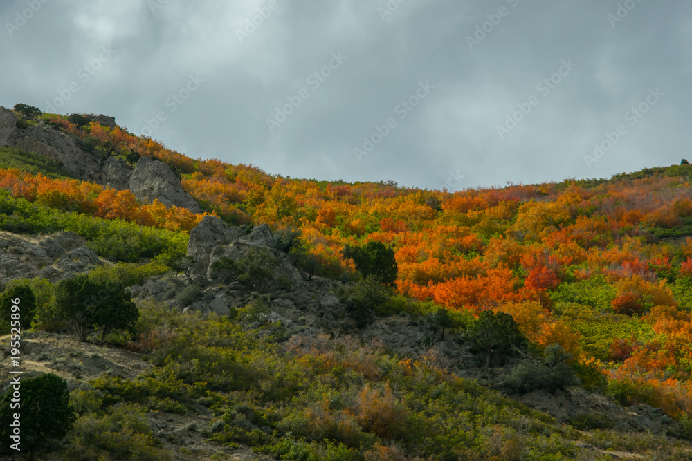 Rugged fall landscape with grey sky