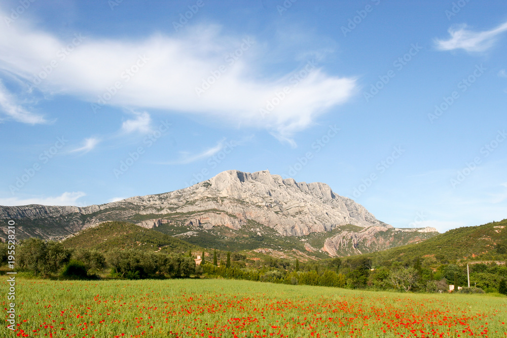 Mount Sainte Victoire and poppies.