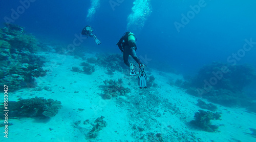 Two Divers at the red Sea at the coral reef