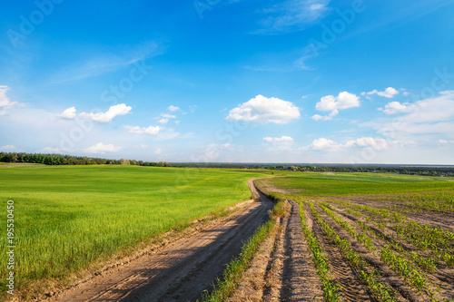 Green Field and Beautiful Sunset