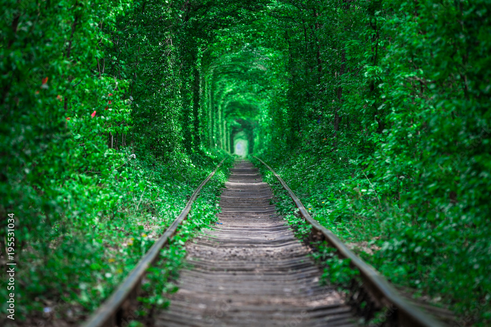 Obraz premium a railway in the spring forest tunnel of love