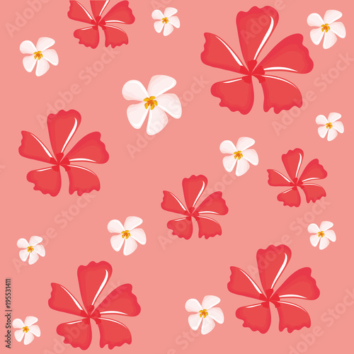 white and red plumeria flowers background  colorful design vector illustration