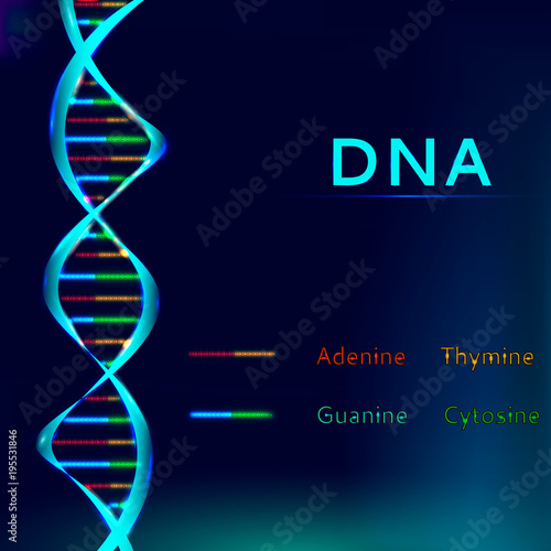 DNA sequence vector illustration.