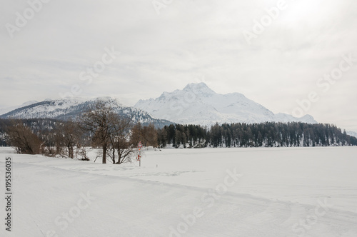 Sils  Silsersee  Langlauf  Langlaufloipe   piz  da la margna  Oberengadin  Winter  Wintersport  Alpen  Graub  nden  Schweiz