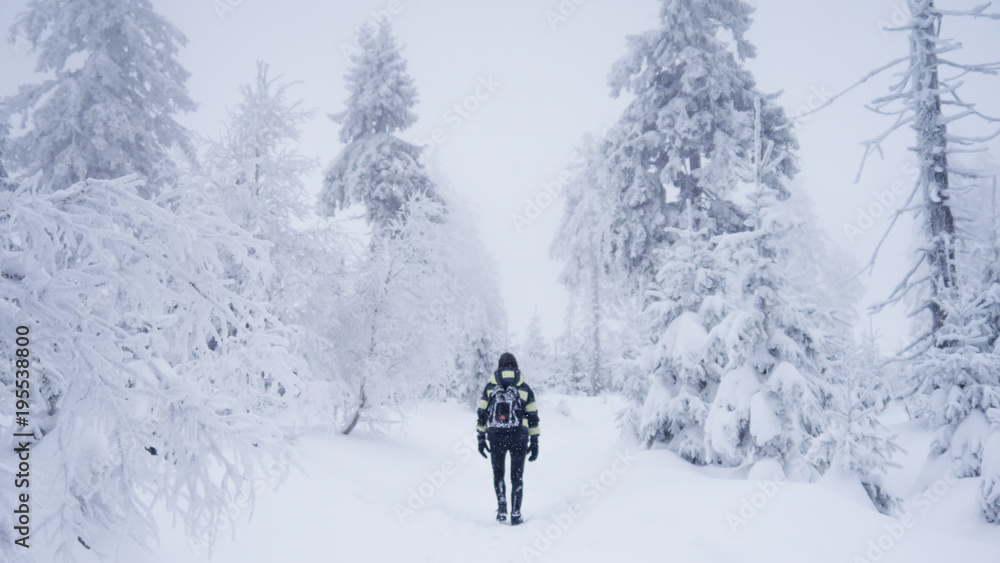 Winter landscape, Frozen Trees, Czech Mountains, Winter, Person on the way