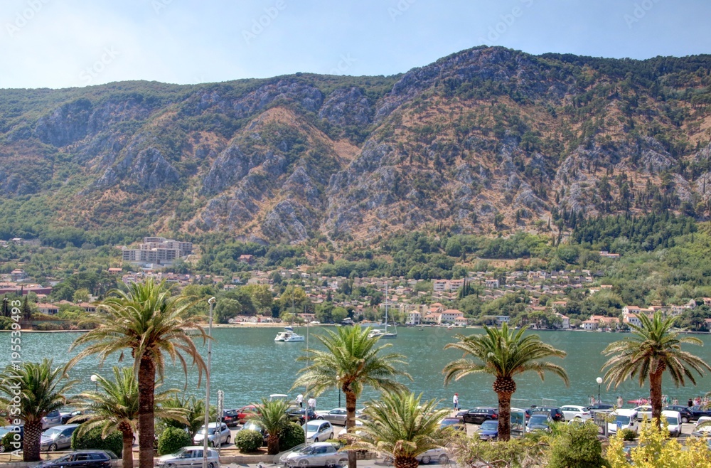 Fototapeta premium vieille ville de Kotor au Montenegro