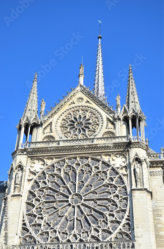 Notre Dame Paris © Sebastiano Fancellu