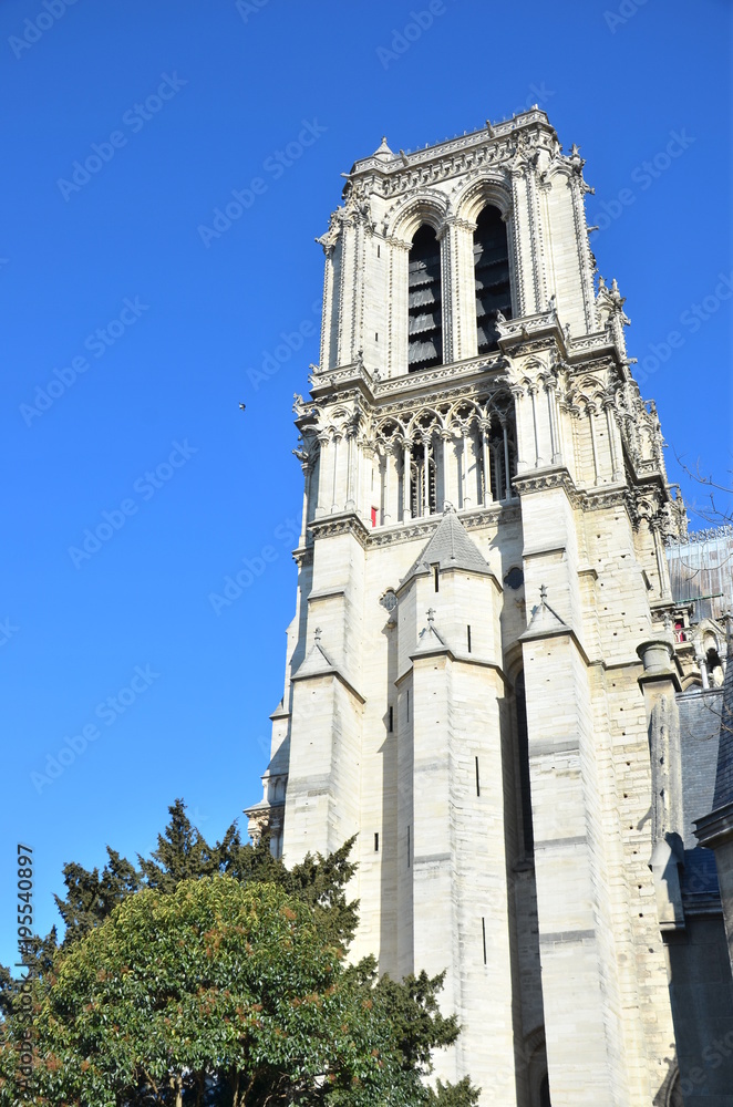 Notre Dame Notre Dame