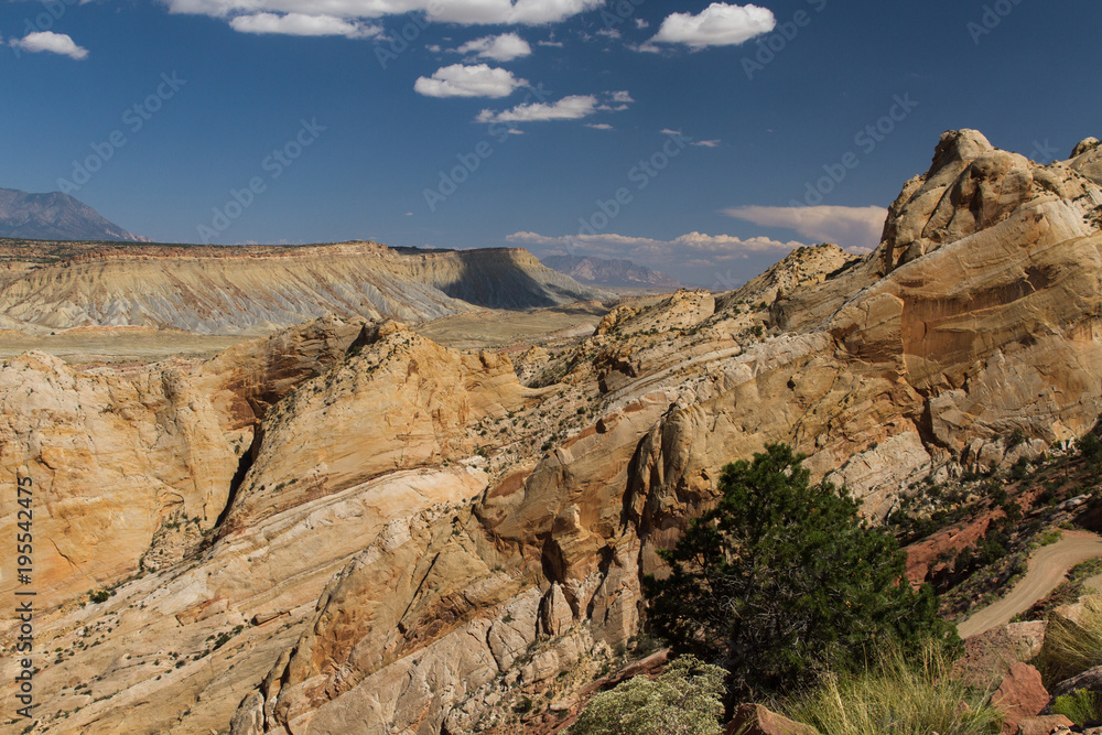 Fototapeta premium Burr Trail 17