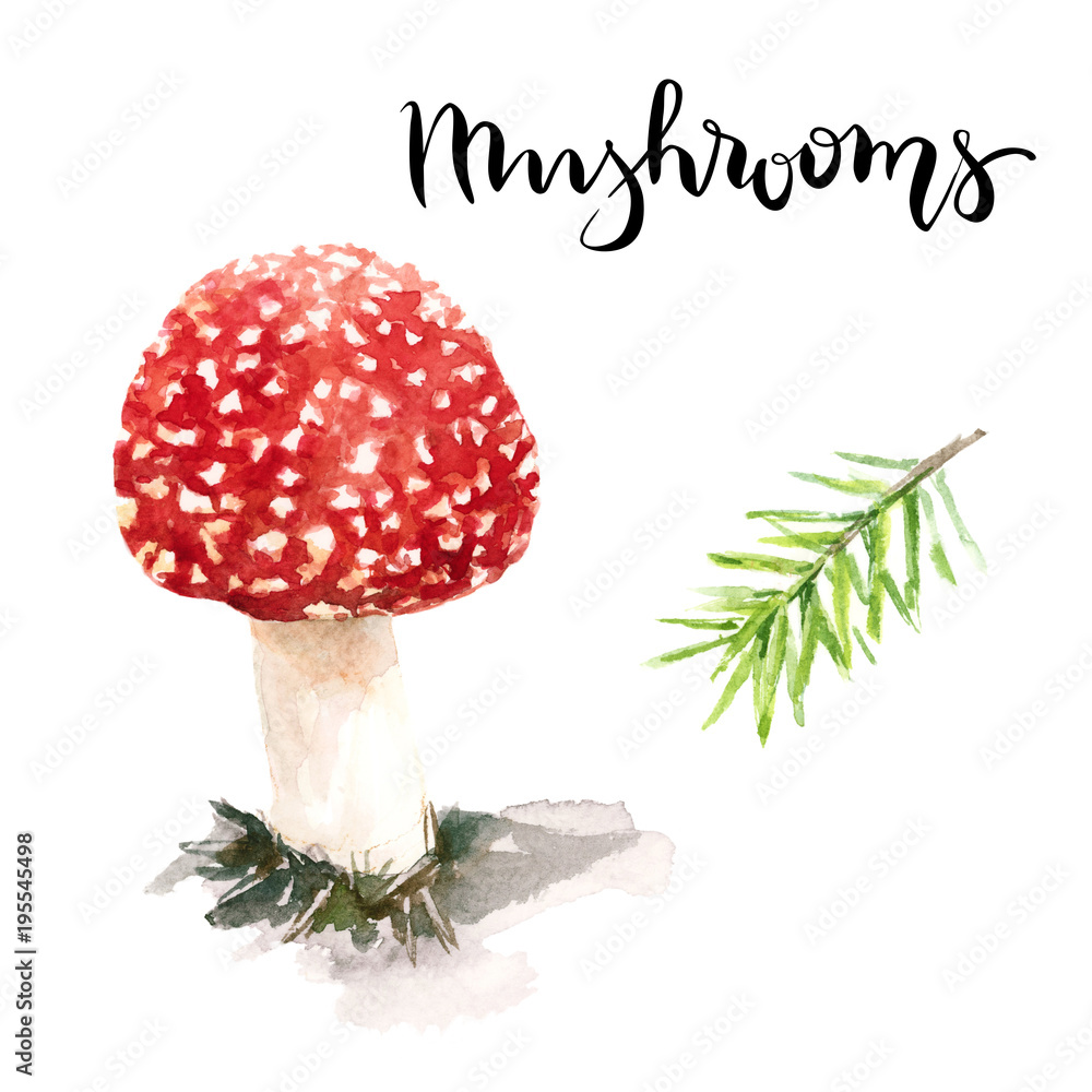 Fotografie Forest mushroom watercolor.