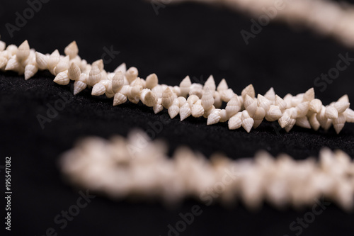 Part of a necklace made from very small seashells.