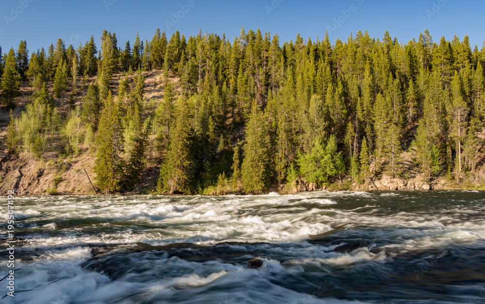 Yellowstone river in Yellowstone National Park Montana Yellowstone river in Yellowstone National Park Montana