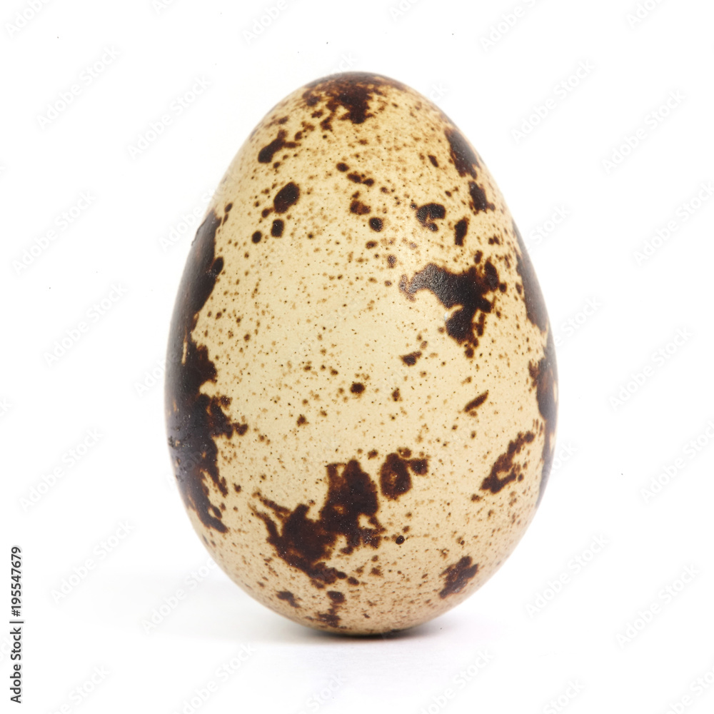 Obraz premium Quail egg isolated on white background