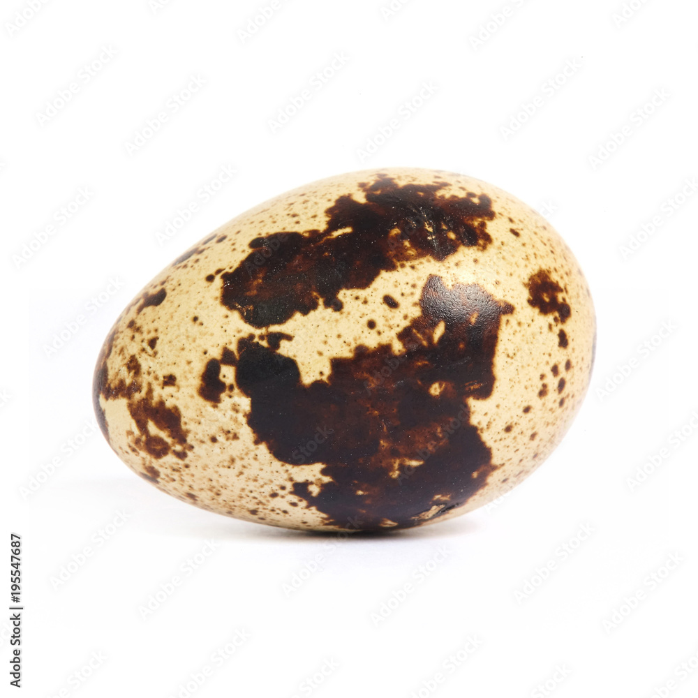 Quail egg isolated on white background Quail egg isolated on white background